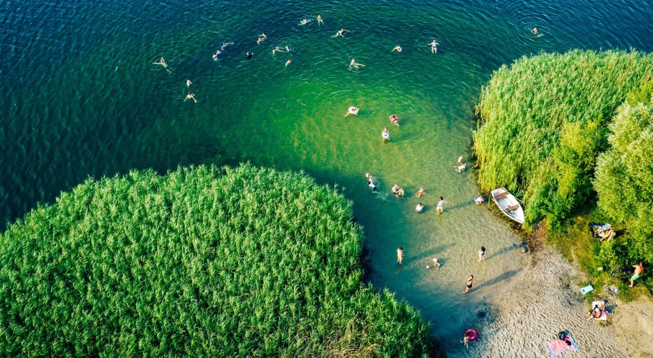 Letnia plaża nad jeziorem tętni życiem. Ludzie kąpią się w krystalicznie czystej wodzie, odpoczywają na piaszczystym brzegu wśród zielonych trzcin.