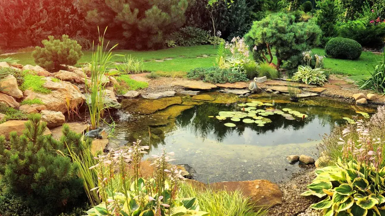 Ein idyllischer Gartenteich mit Seerosen und &uuml;ppigen wasserpflanzen. Ein kleiner Frosch sitzt auf einem Stein am Ufer.