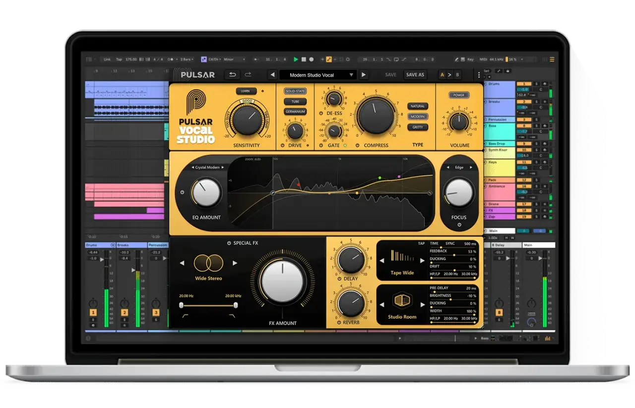 Interfaz de software de audio mostrando controles para ajustar cómo funciona el autotune, con ecualizador, delay y reverb.