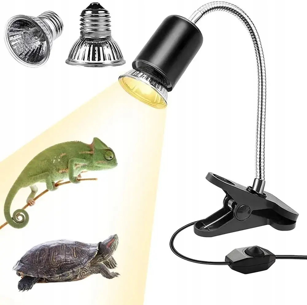 terrarium dla żółwia lądowego z lampą UVB
