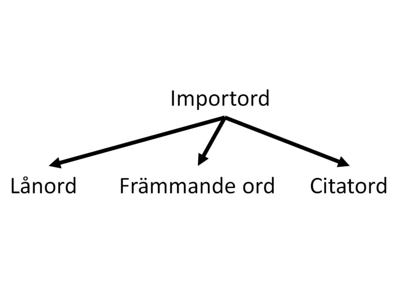 Diagram visar hur 