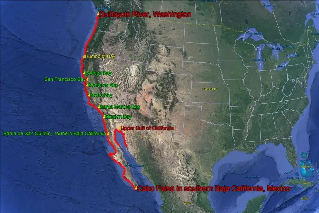 Mapa pokazuje obszary występowania halibuta wzdłuż wybrzeża Pacyfiku Ameryki Północnej, od Waszyngtonu po Baja California.