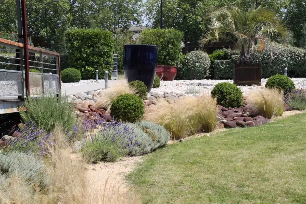 Un jardin sec avec lavande, gramin&eacute;es et arbustes, parfait pour les 10 plantes faciles qui r&eacute;sistent au manque d'eau.