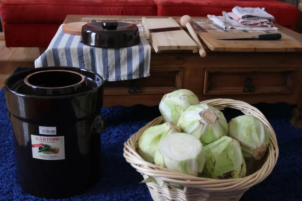 Ein Gärtopf und ein Korb voller Weißkohlköpfe für ein traditionelles Sauerkraut Rezept.