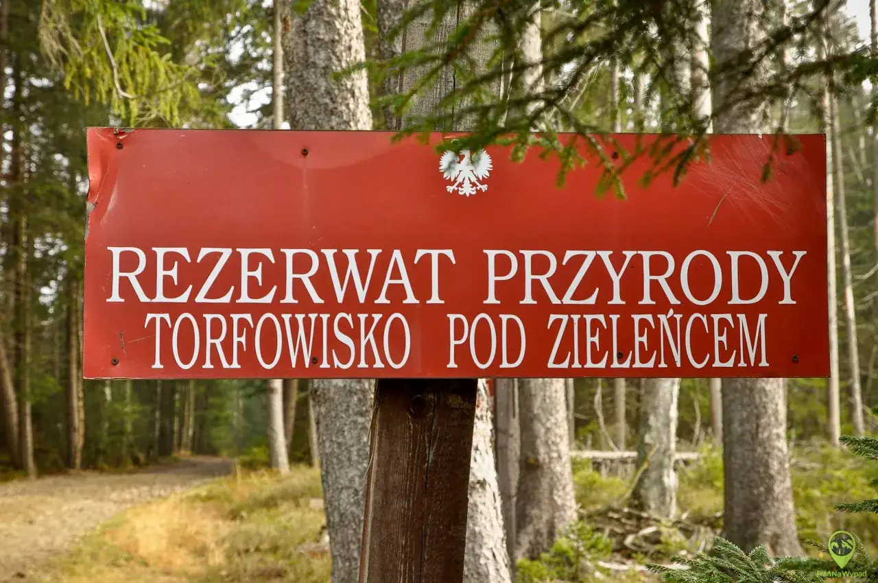 Czerwony znak informuje o rezerwacie przyrody Torfowisko pod Zielencem. W tle las i ścieżka.