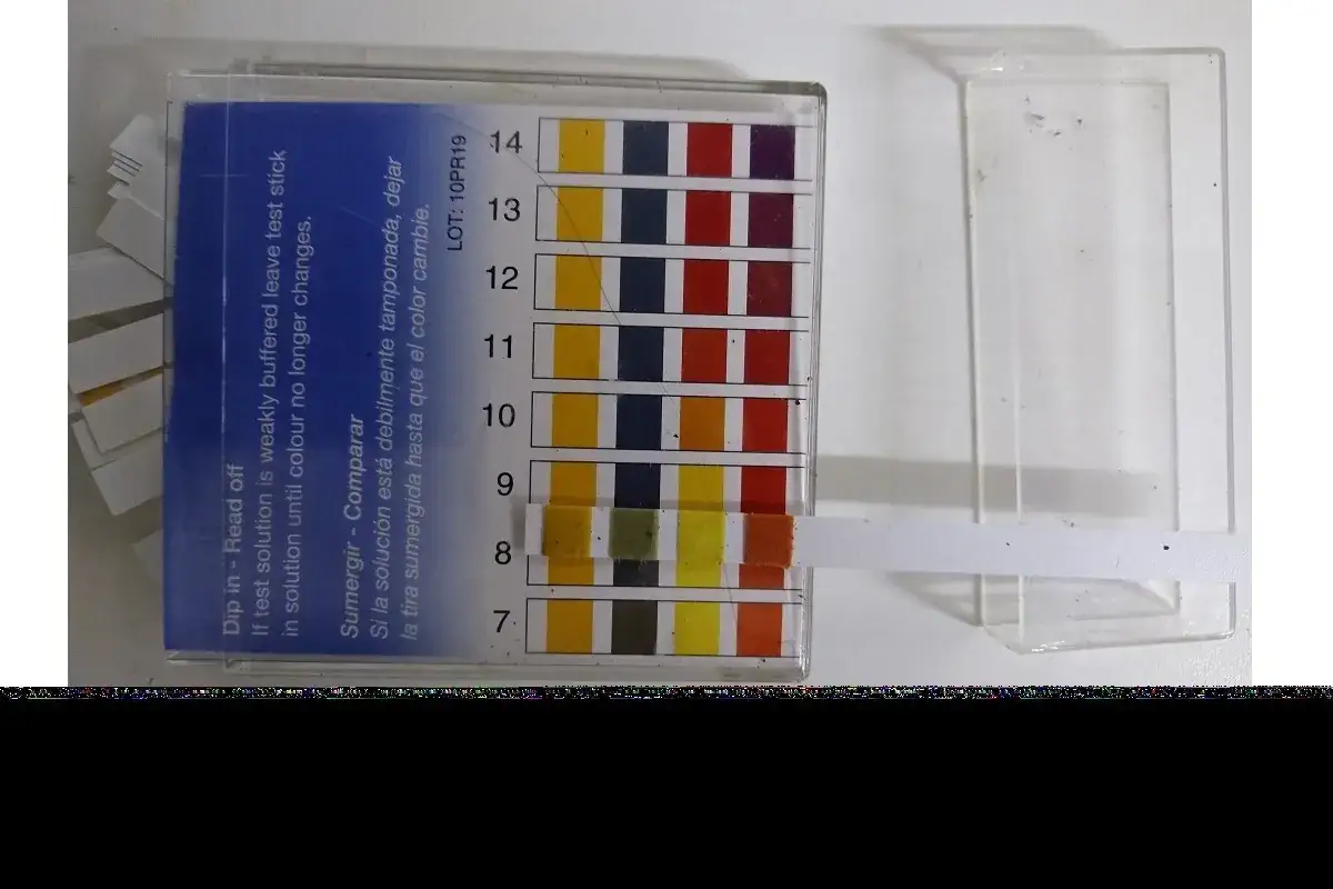Strisce reattive per misurare il pH, utili per capire come rendere acido il terreno. La striscia immersa mostra un colore verdastro, indicando un pH intorno a 8.