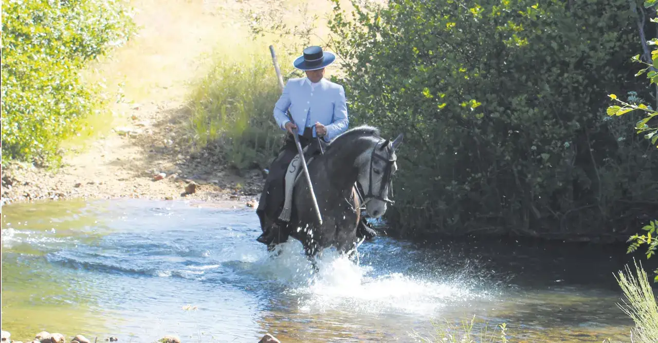 Un jinete con sombrero cordob&eacute;s y traje claro cruza un r&iacute;o, su caballo levantando espuma. Es el trabajo mayoral con ganado bravo.