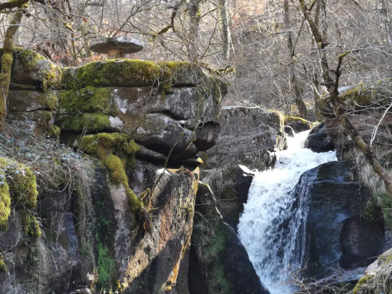 La cascade des Jarrauds, une chute d'eau tumultueuse, se fraye un chemin &agrave; travers des rochers moussus et des arbres d&eacute;nud&eacute;s.