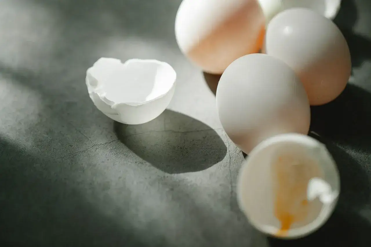 Huevos blancos y cáscaras rotas sobre fondo gris. Un sueño con huevos que invita a la reflexión.