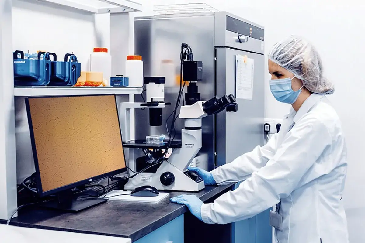 Naukowczyni w masce i czepku bada komórki macierzyste pod mikroskopem. Na ekranie widoczne są ich skupiska, a obok sprzęt laboratoryjny. Analiza ta może pomóc w określeniu przeciwwskazań do ich stosowania.