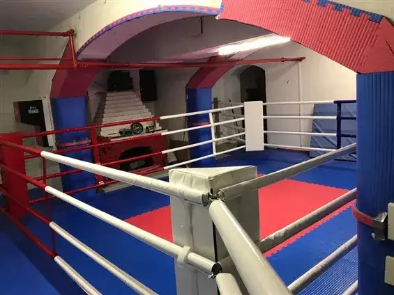 Boks olimpijski ring