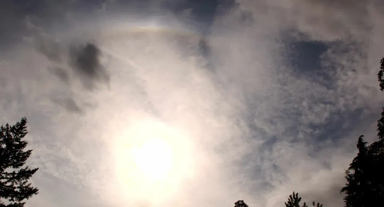 Jasne, oto opis:
Słońce przebija się przez cienką, pierzastą **chmurę cirrostratus**, tworząc delikatny łuk halo.