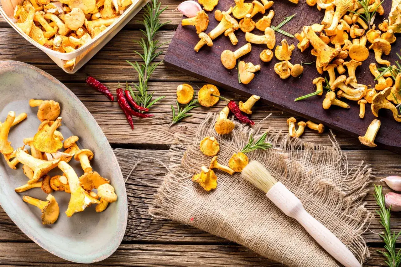 Frische Pfifferlinge putzen: Ein Pinsel liegt bereit, um die leuchtend gelben Pilze auf einem rustikalen Holztisch zu säubern.