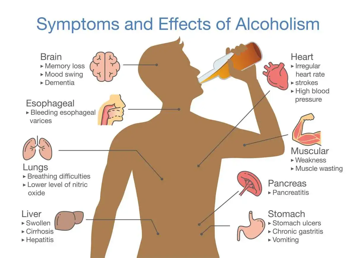 Co powoduje alkohol: uszkodzenia mózgu, serca, płuc, wątroby, żołądka, trzustki i mięśni.