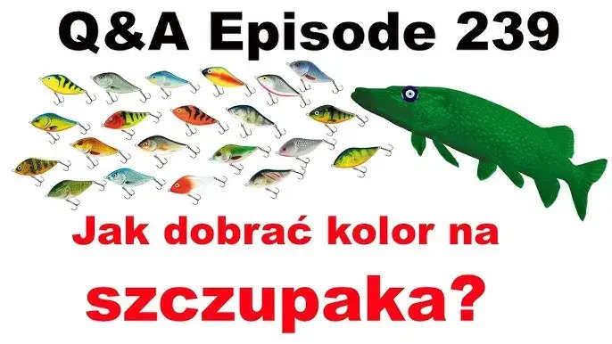 kolory przynęt na szczupaka w zależności od wody