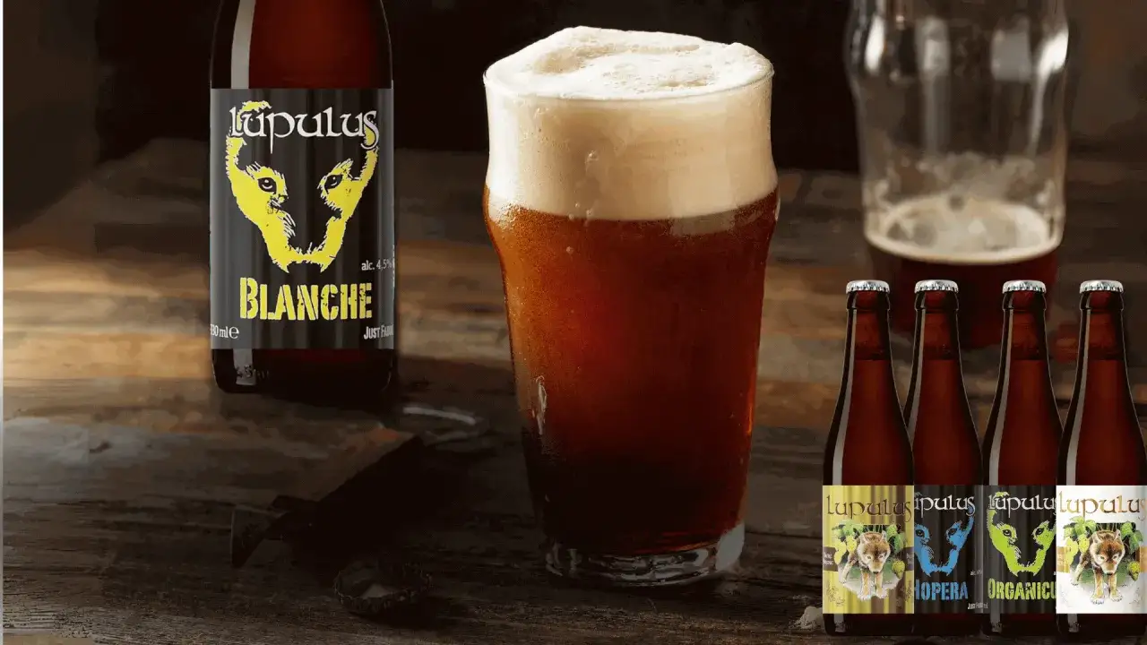 Un bicchiere di birra Lupulus Blanche e bottiglie su un tavolo di legno. La birra &egrave; invitante, perfetta per una serata in compagnia.