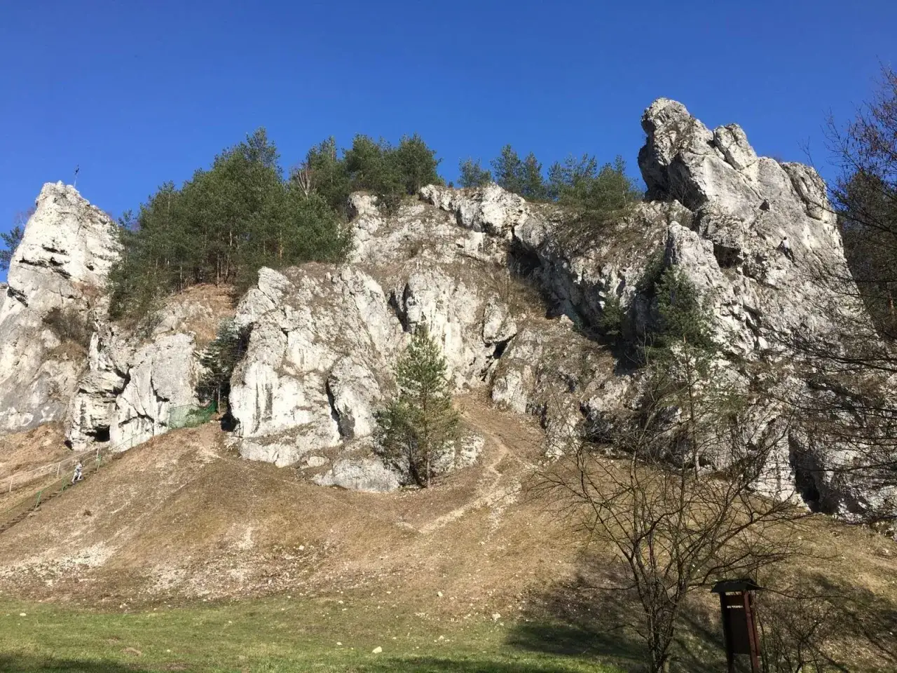 Skały wapienne i sosny w Dolinie Kobylańskiej. W oddali widać turystów wspinających się po schodach.