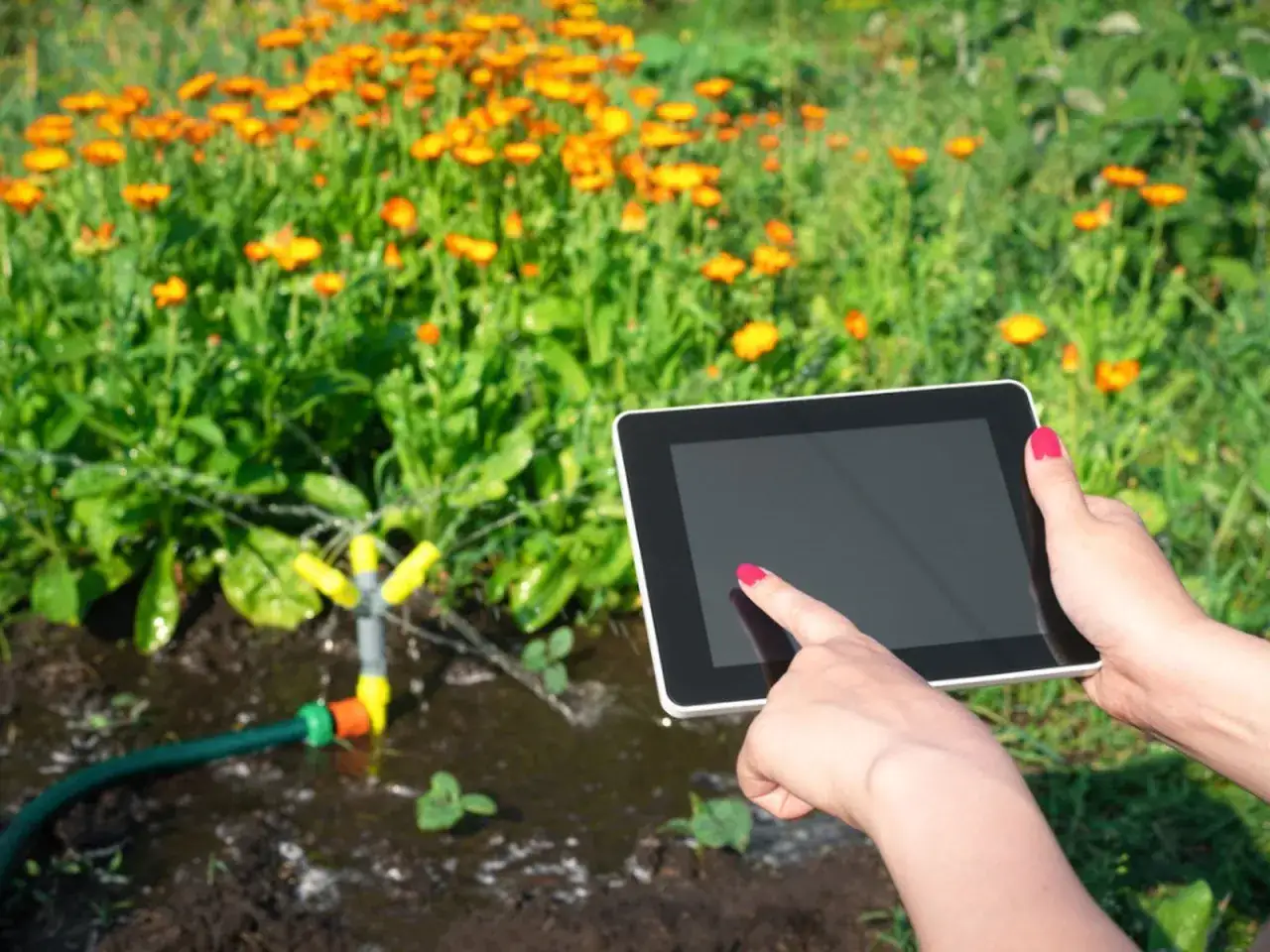 Mit einem **Bewässerungscomputer** auf dem Tablet steuert die Person die Gartenbewässerung.