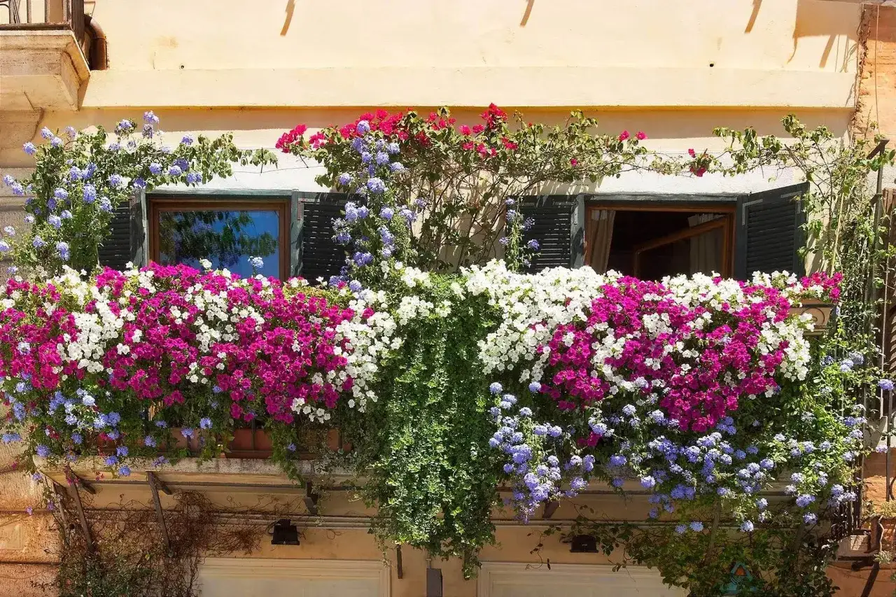Ein üppig bepflanzter Blumenkasten mit pinken, weißen und blauen Blüten schmückt ein Fenster.