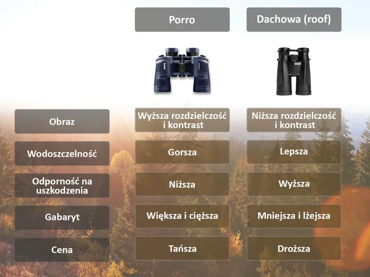 Por&oacute;wnanie rodzaj&oacute;w lornetek: Porro (lepszy obraz, gorsza wodoodporność, większa i cięższa, tańsza) vs. Dachowa (roof) (niższa rozdzielczość, lepsza wodoodporność, mniejsza i lżejsza, droższa).