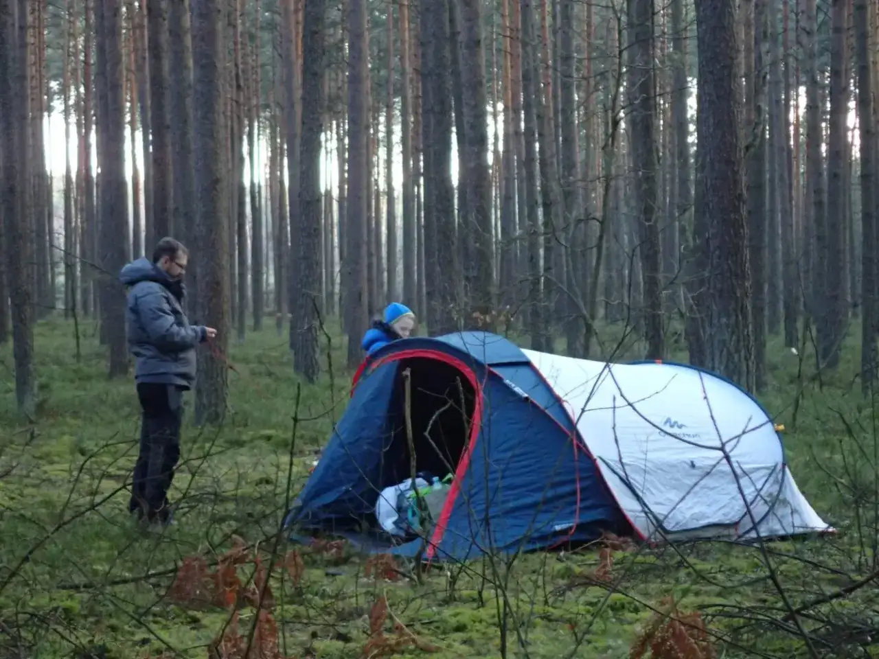 Dwóch ludzi przygotowuje namiot do spania w lesie. Otoczeni przez wysokie sosny, tworzą przytulne schronienie na noc.