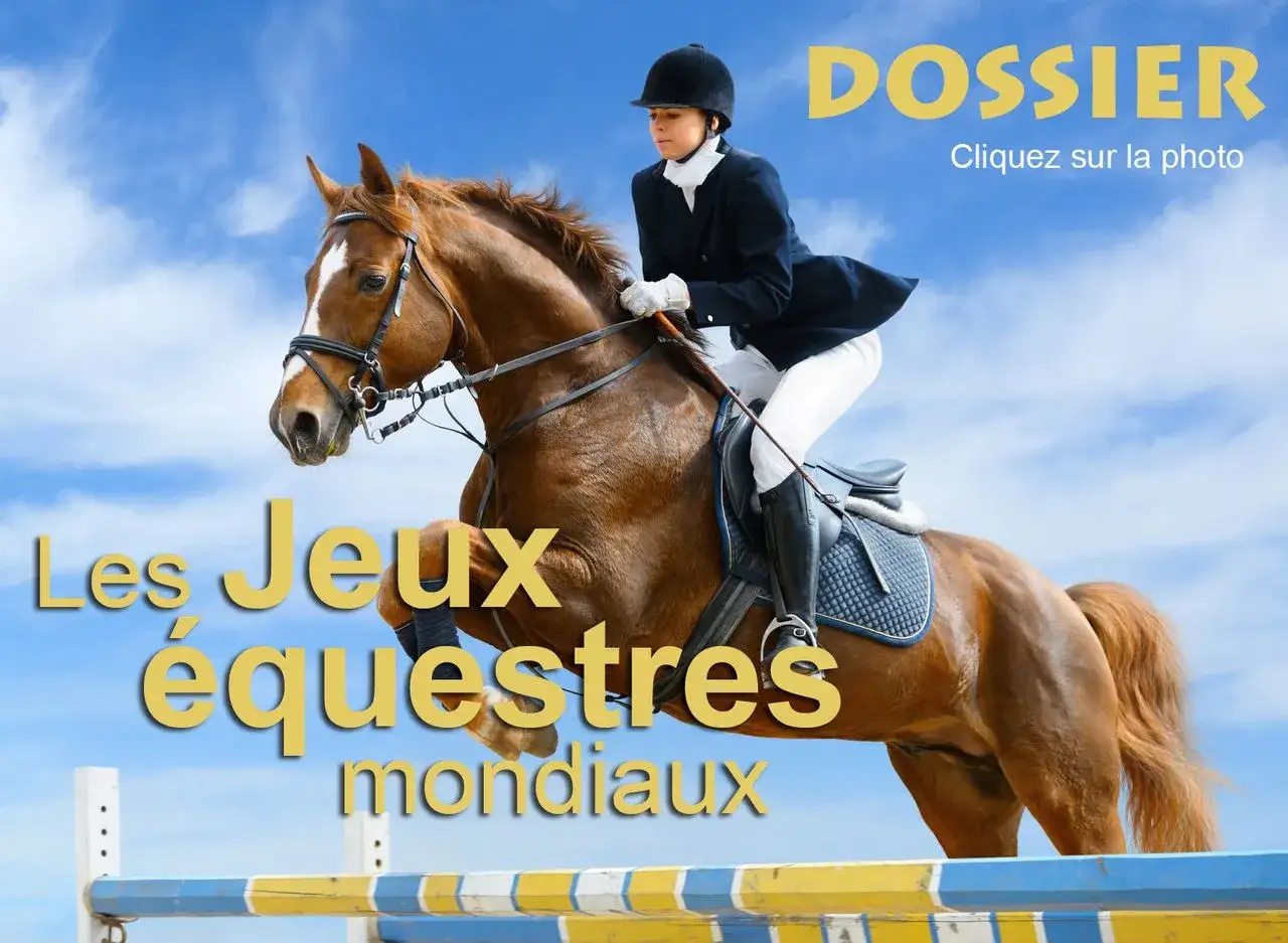 Une cavalière et son cheval sautent un obstacle lors des Jeux équestres mondiaux.