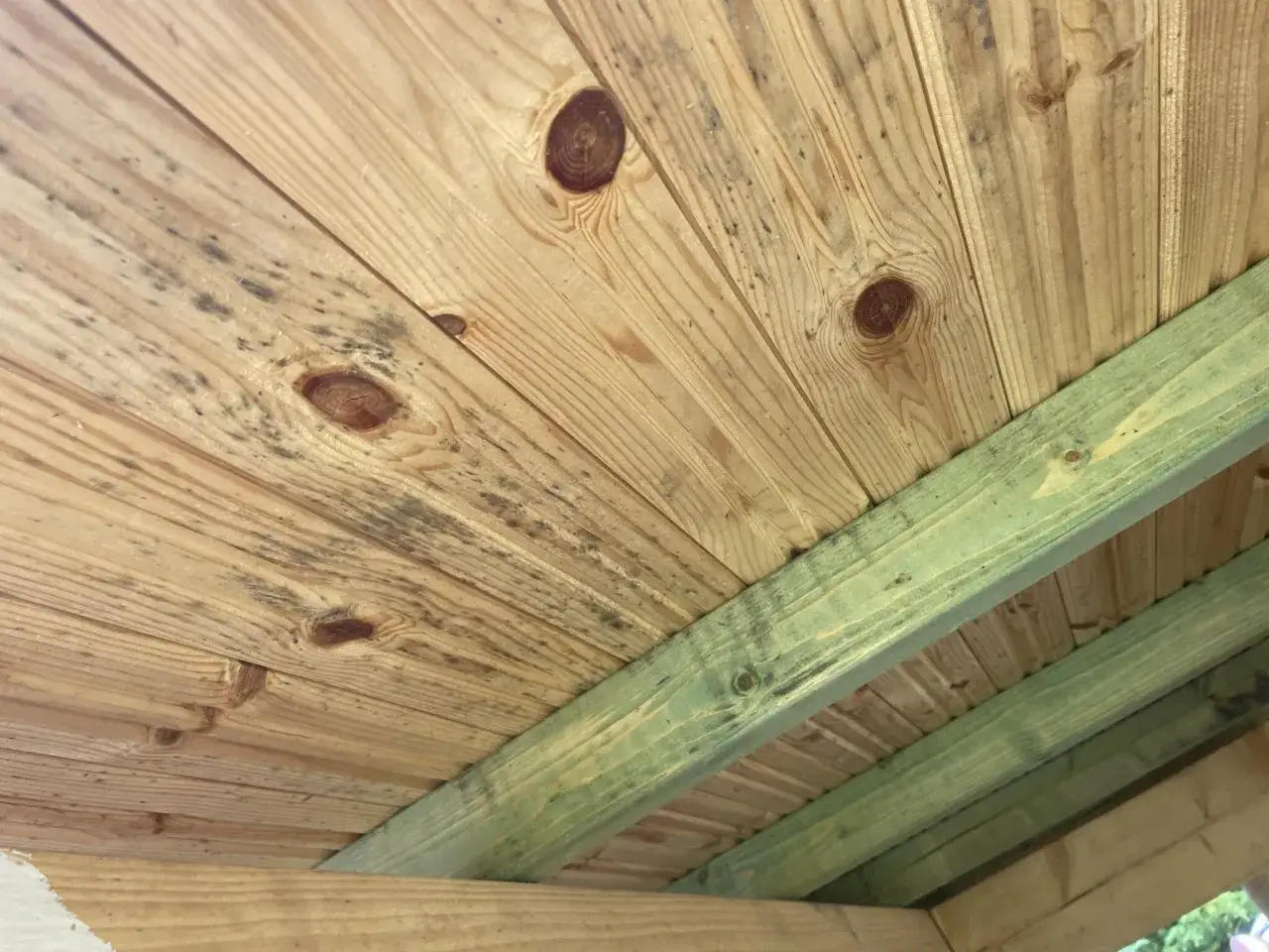 M&ouml;gel p&aring; tr&auml;panelen i en friggebod, troligen p&aring; grund av bristande ventilation.