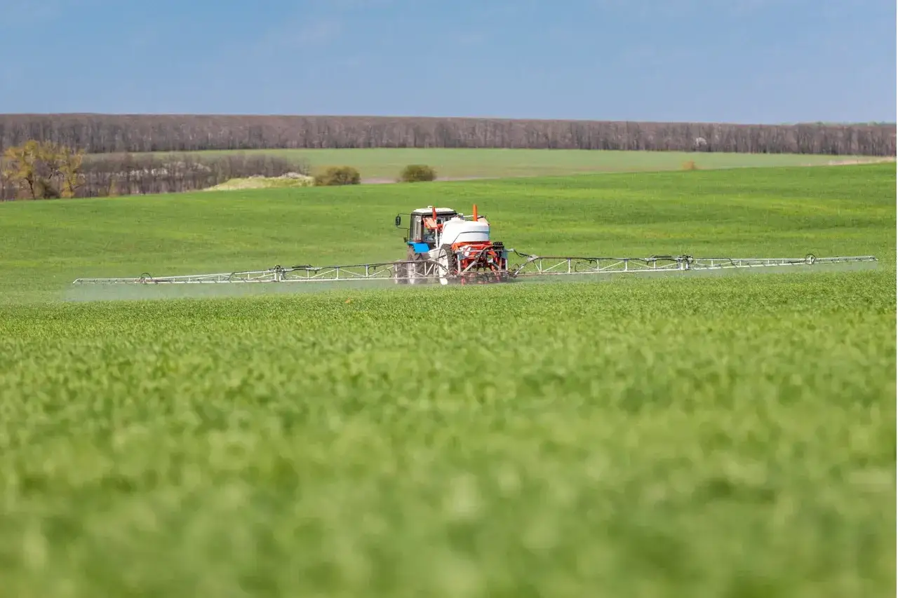 Traktor opryskuje pole zieloną pszenicą, przygotowując ją do ochrony przed szkodnikami, być może z użyciem środka devrinol.