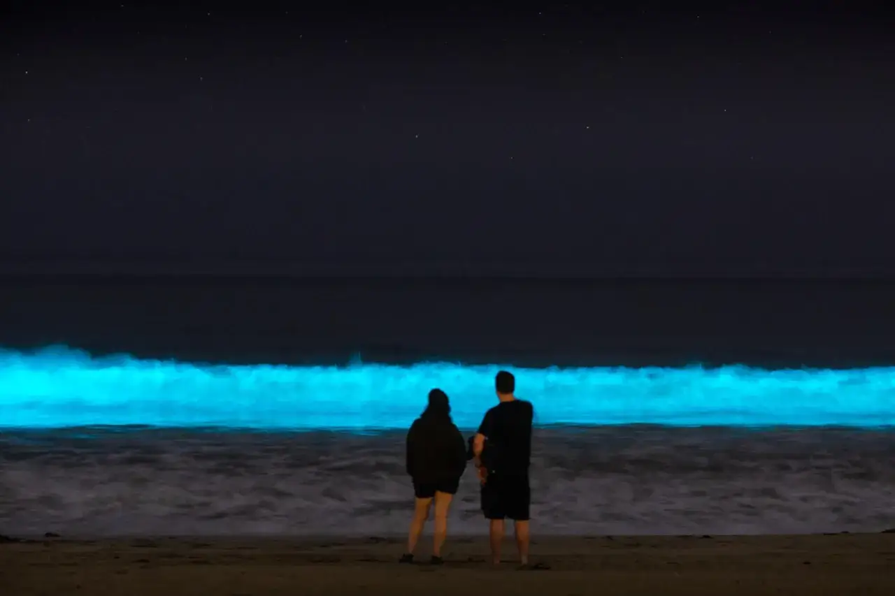 Para na plaży obserwuje nocą rozświetlone fale, jakby morze gwiazd na Malediwach.