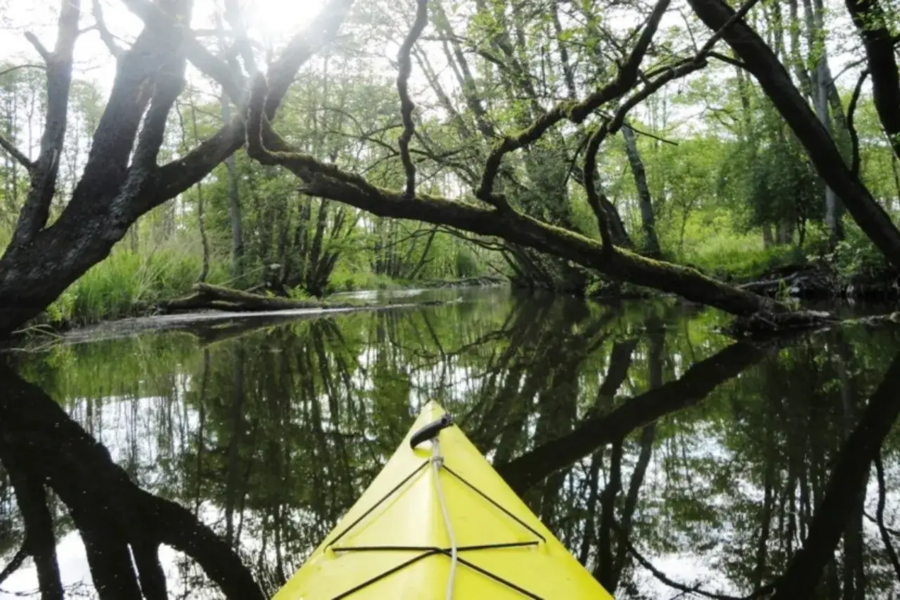 Gelbes Kanu gleitet durch einen ruhigen Fluss in Weitendorf, umgeben von üppigem Grün und spiegelnden Bäumen.