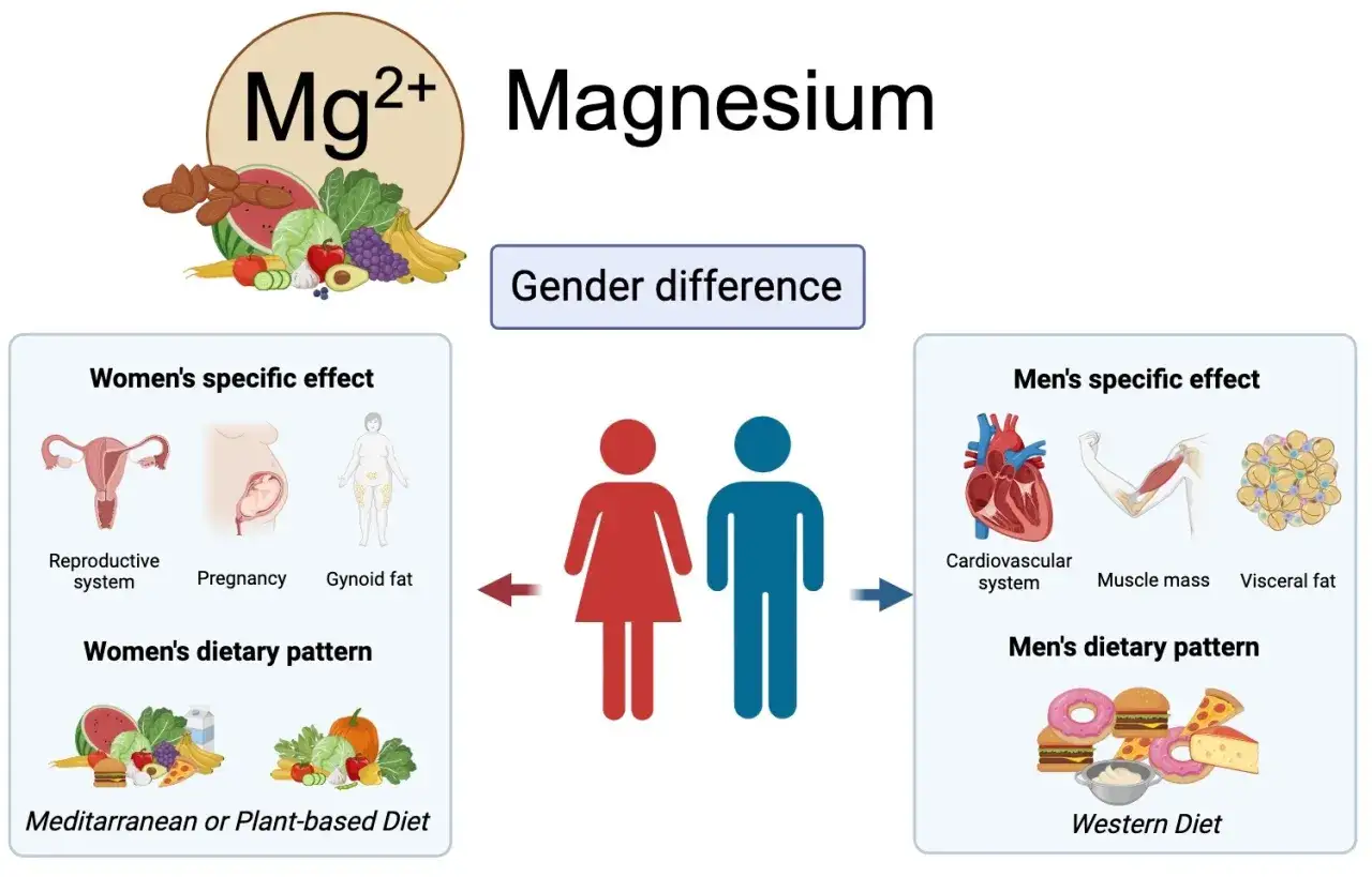 Magnesium påverkar könsspecifika effekter, som reproduktion och graviditet hos kvinnor, och kardiovaskulär hälsa samt muskelmassa hos män. Kostmönster kan påverka magnesiumnivåer och därmed viktuppgång.