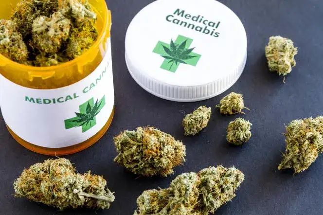 medyczna marihuana zastosowania