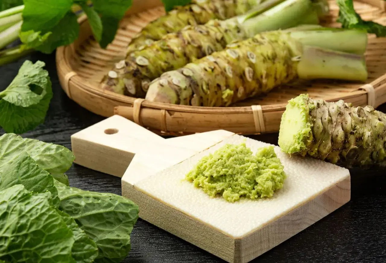 Frisch geriebener Wasabi auf einem Reibebrett. Auch in der Schwangerschaft kann Wasabi in Maßen genossen werden.