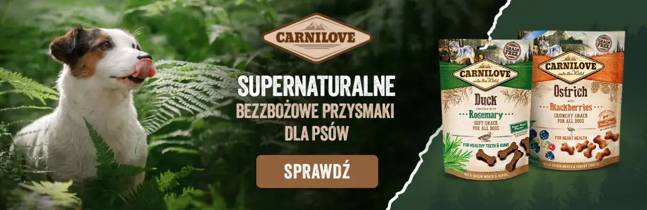 r&oacute;żne rodzaje żwaczy dla psa