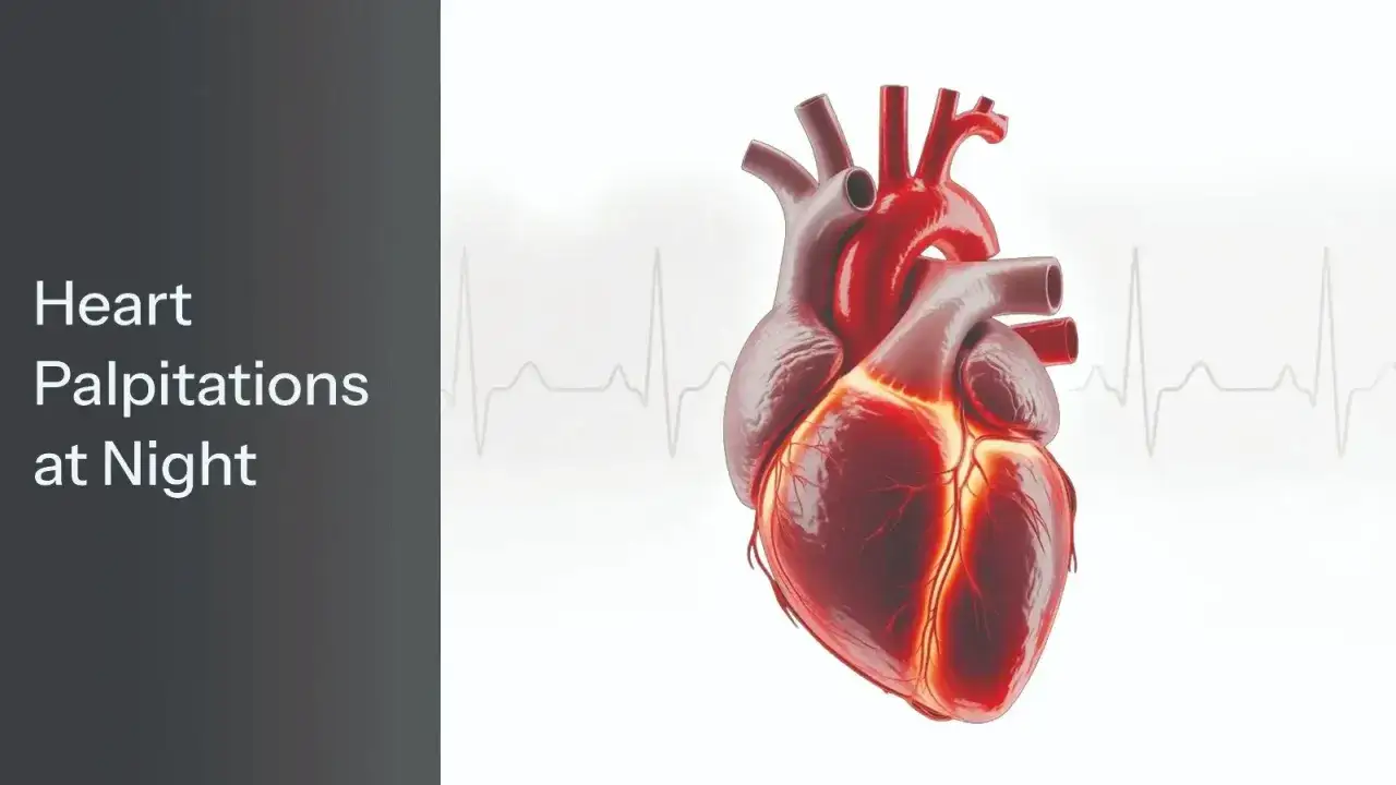Ein menschliches Herz mit einem EKG-Signal im Hintergrund. Der Text 