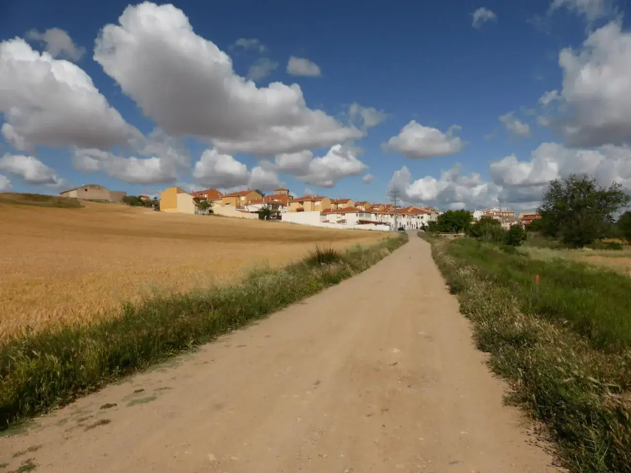 Camino de tierra que se adentra en un pueblo con tejados rojos, rodeado de campos de cereal dorado. Un día perfecto para recorrer la ruta de la lana.