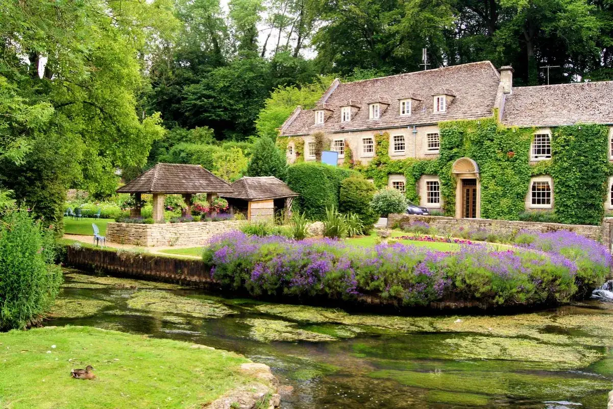 Kamienny dom porośnięty bluszczem, kwitnąca lawenda i strumyk tworzą idylliczny krajobraz w Cotswolds.