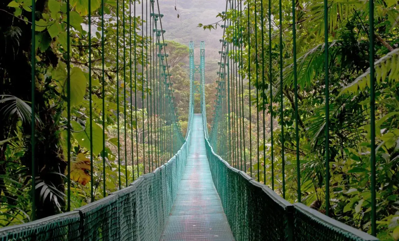H&auml;ngebr&uuml;cke im dichten Regenwald von Monteverde, Costa Rica. Ein gr&uuml;ner Weg f&uuml;hrt durch &uuml;ppige Vegetation in die Ferne.