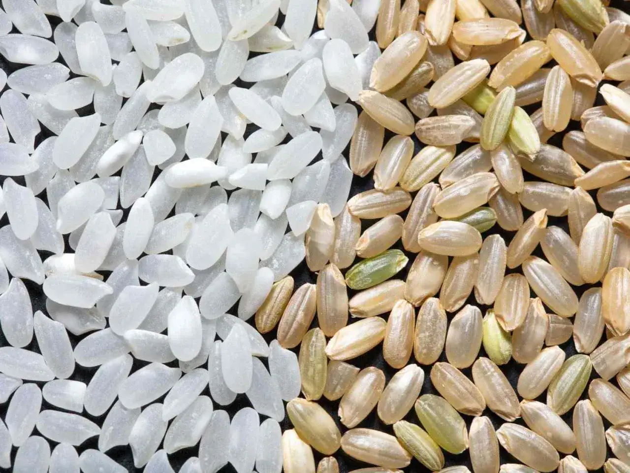 A split image shows polished white rice on the left and brown rice on the right, ready to be transformed into delicious Japanese sweet rice.