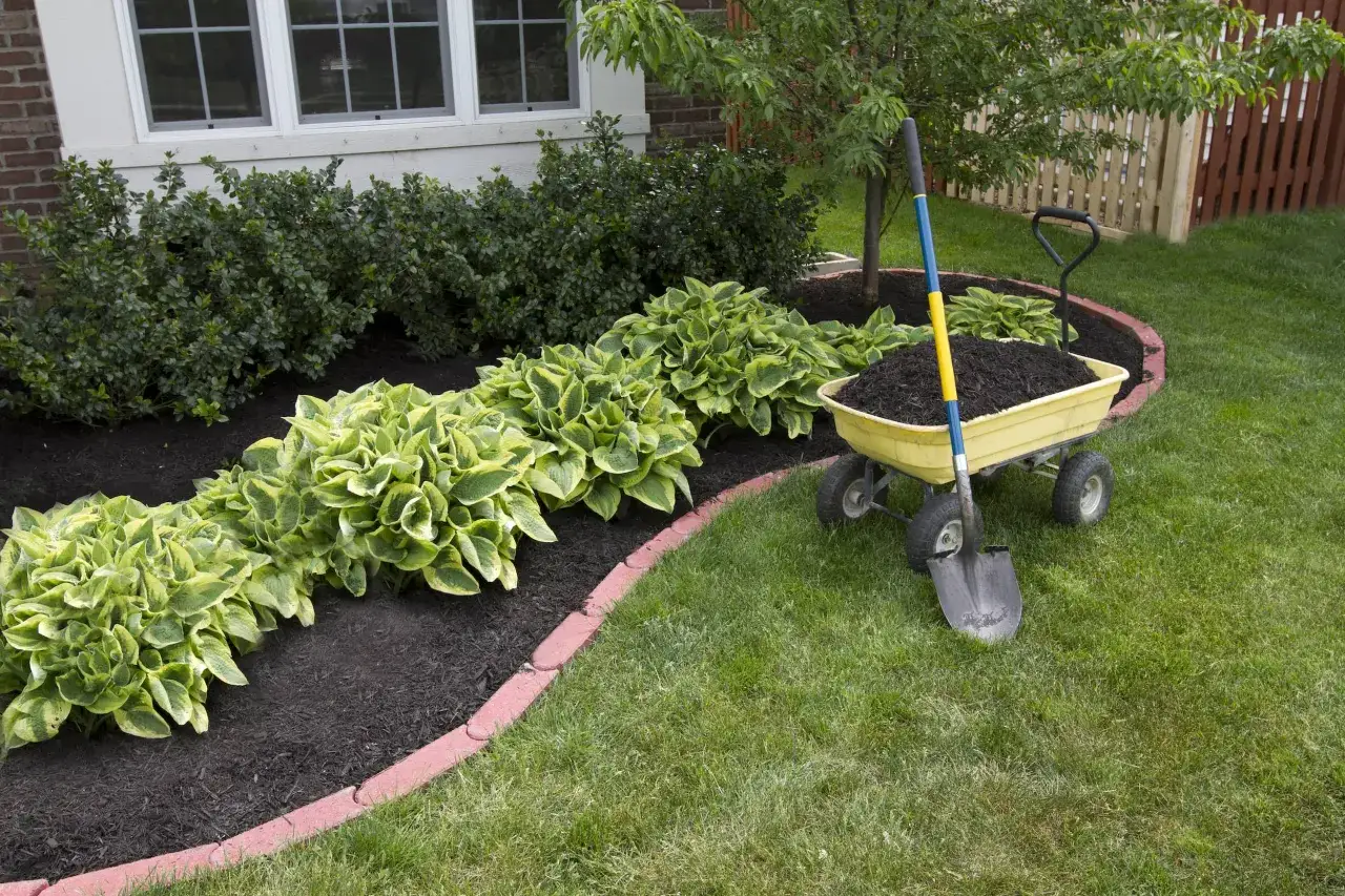 Carretilla con tierra y pala, lista para el dise&ntilde;o de jardines. Hostas y arbustos verdes bordean el c&eacute;sped.