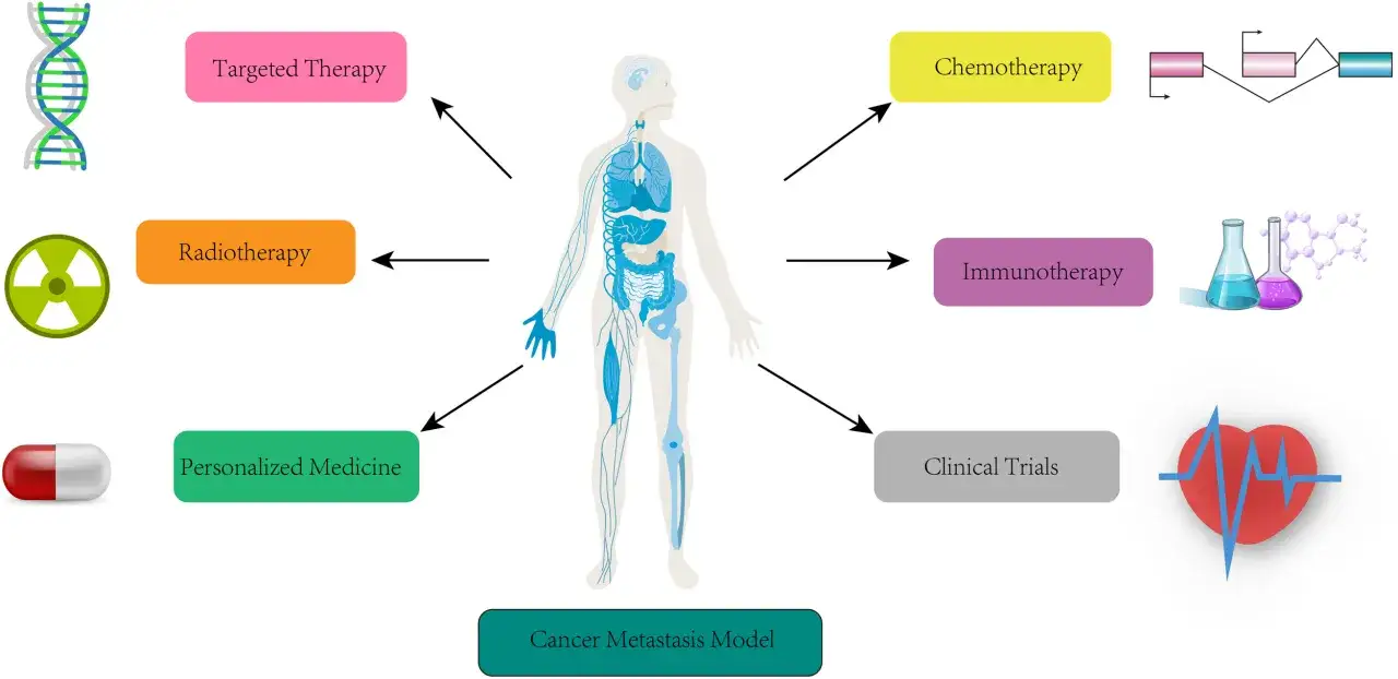Behandlungsmethoden wie Chemo-, Immun- und Strahlentherapie, zielgerichtete Therapien und personalisierte Medizin helfen, Krebs zu bek&auml;mpfen, sodass man trotz Metastasen geheilt werden kann.