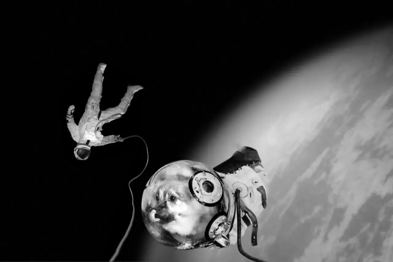 Un astronauta fluttua nello spazio, collegato a una strana capsula con un volto canino riflesso. Un'opera di Joan Fontcuberta che sfida la realt&agrave;.