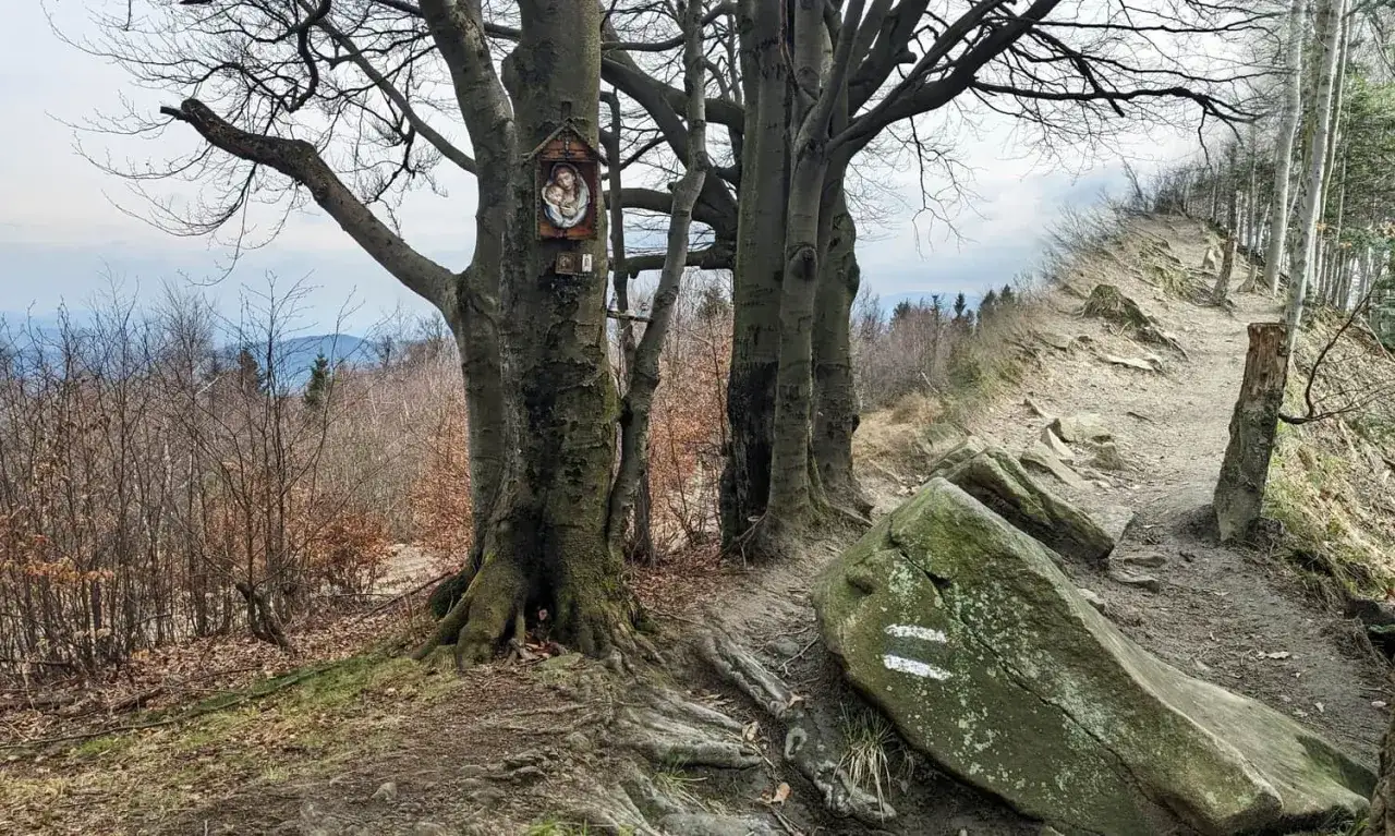 Kamienna ścieżka na Leskowcu, z kapliczką na drzewie i widokiem na góry.