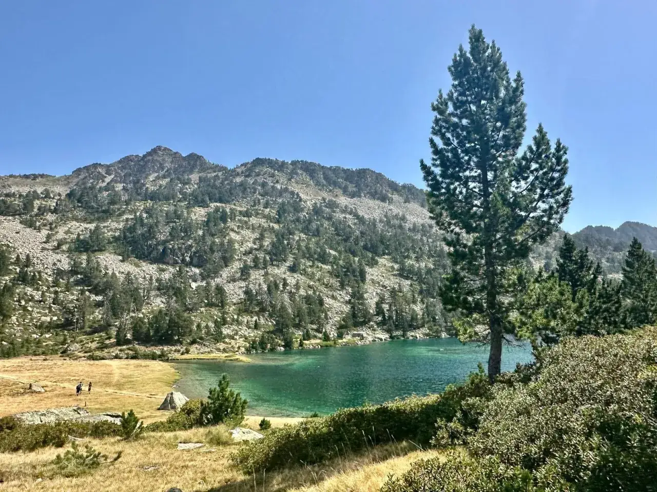 Senderos y aguas turquesas en los lagos de Neouvielle. Monta&ntilde;as rocosas y pinos solitarios en un d&iacute;a soleado.