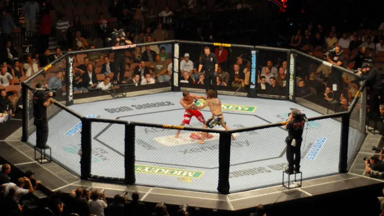 MMA walka w oktagonie
