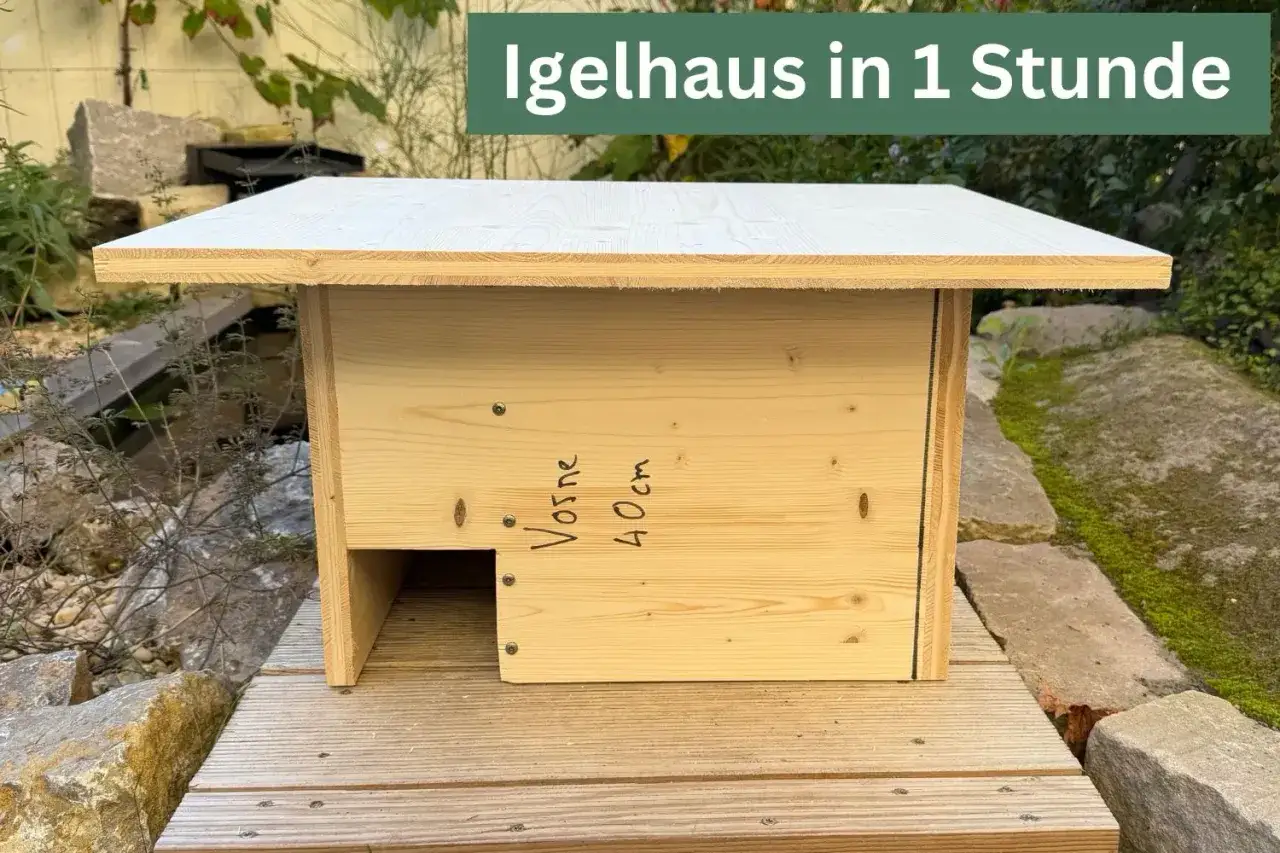 Ein fertiges Igelhaus aus Holz, bereit zum Bauen. Es hat einen Eingang und ist auf einer Holzplattform platziert.