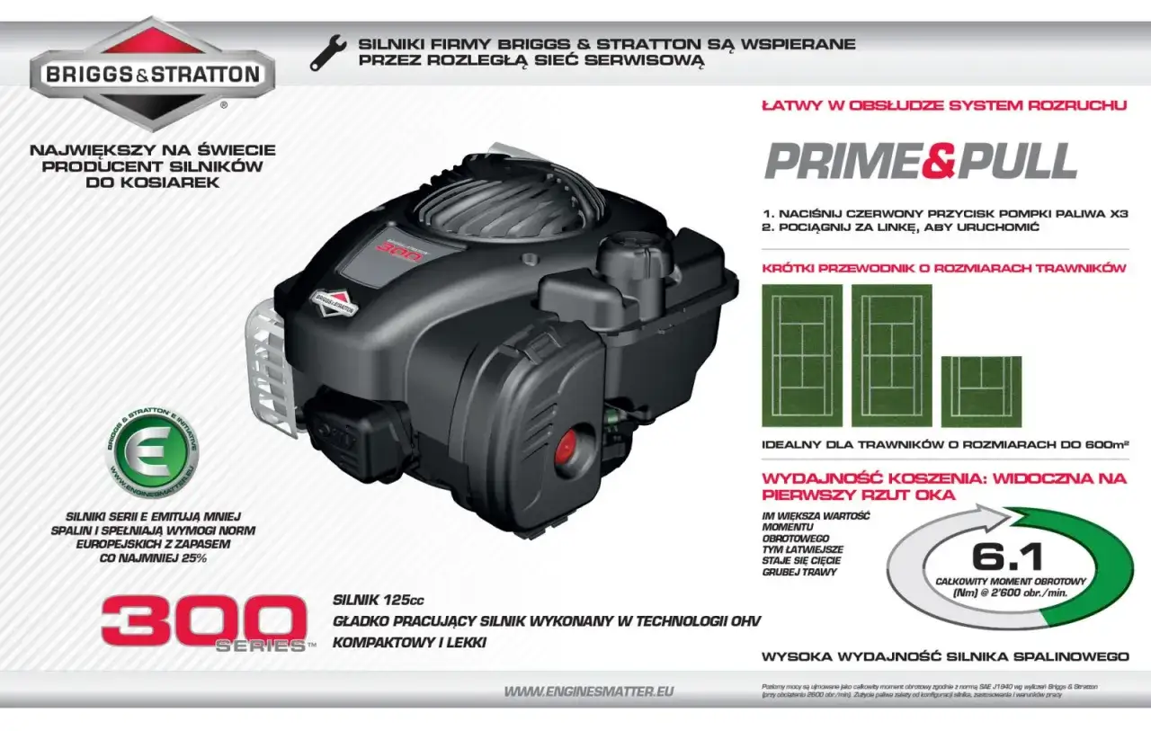 Silnik Briggs & Stratton przekrój