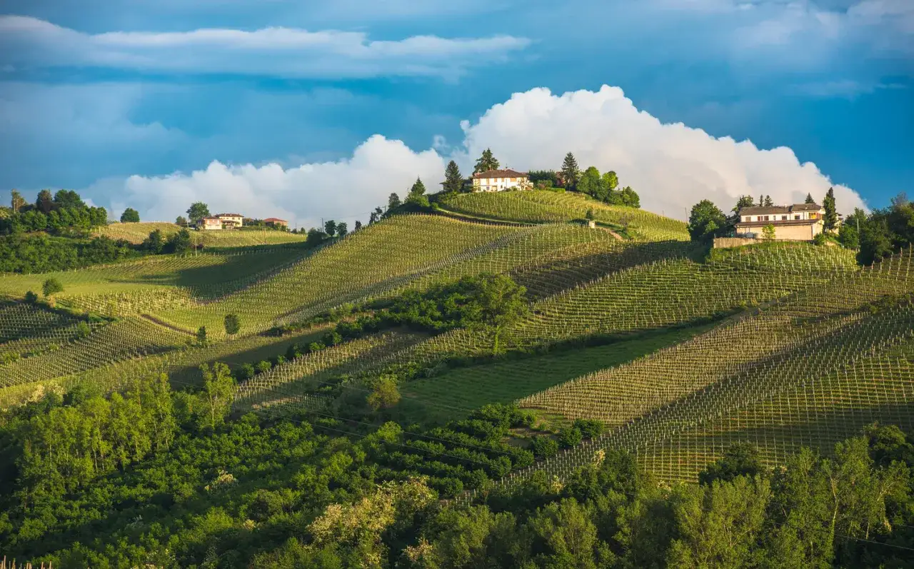 Collines verdoyantes du Piémont, Italie, couvertes de vignobles en terrasses et de maisons traditionnelles sous un ciel bleu et nuageux.