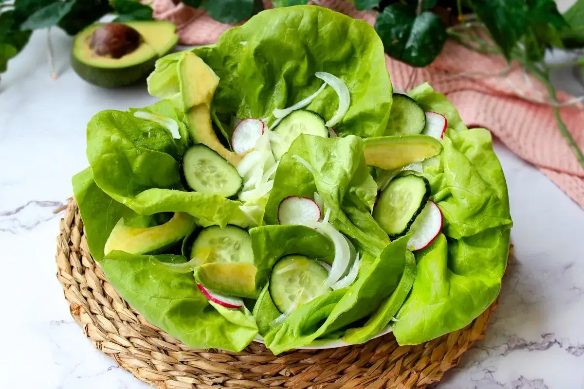 Ensalada de verdel fresca con lechuga, aguacate, pepino y rábano.