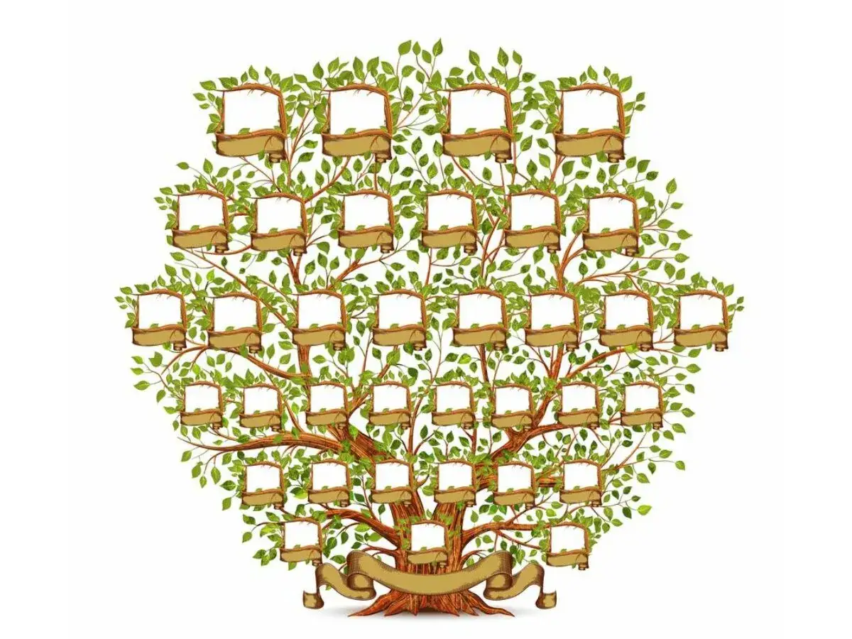 Drzewo genealogiczne z pustymi ramkami na zdjęcia. Wyobraź sobie, że Mieszko i jego dzieci wypełniają te miejsca, tworząc historię rodu.